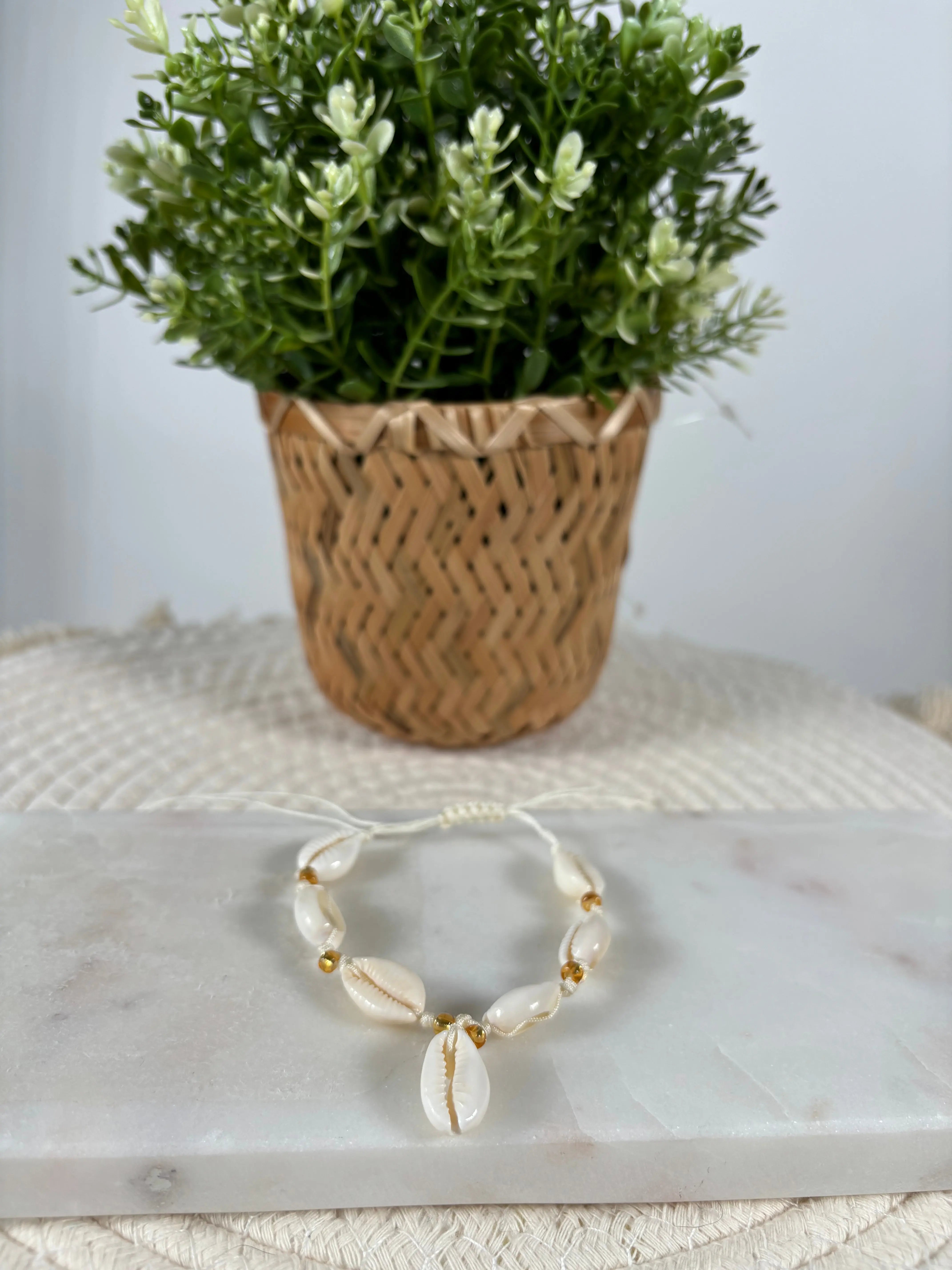 Bracelets de cheville coquillages DS.Sélection