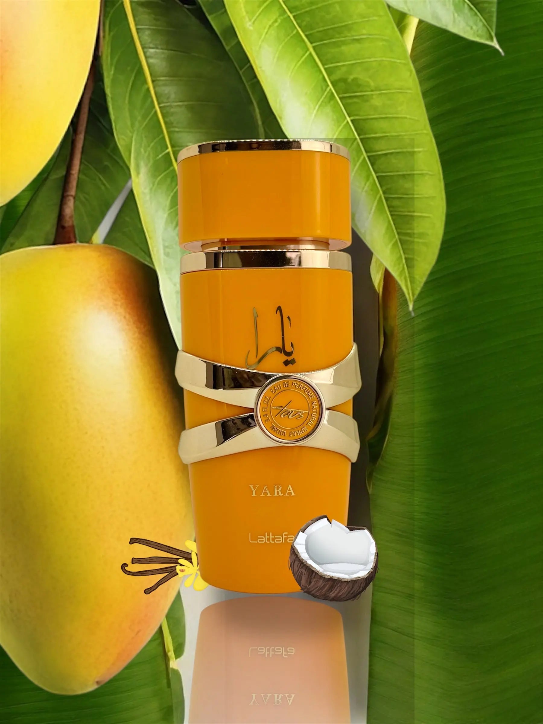 Parfum YARA ORANGE DS.Sélection